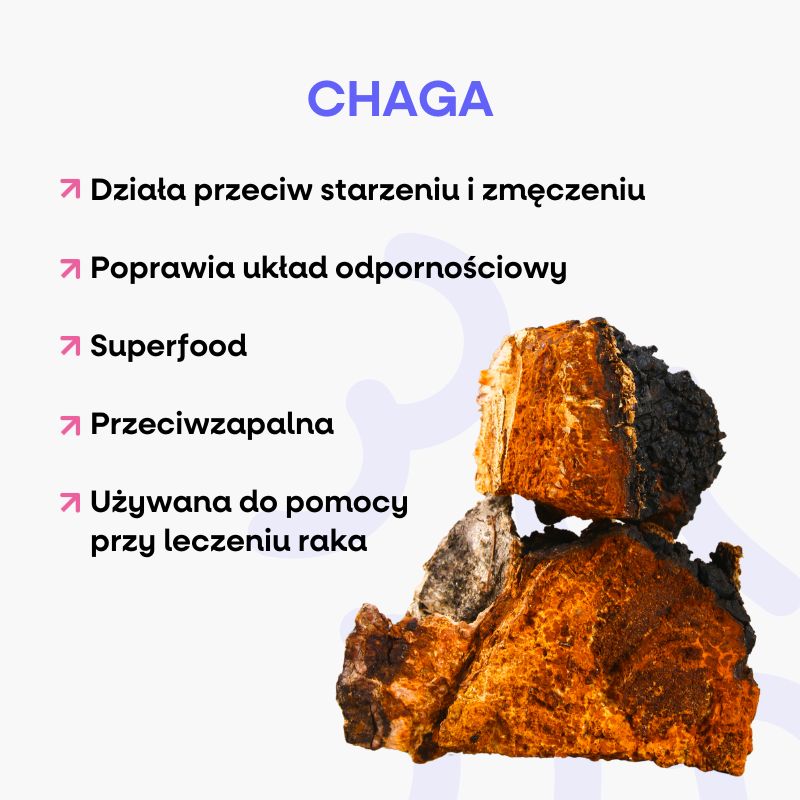 Mediciální houby (3)